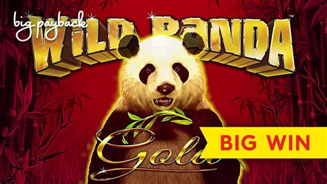 Big Panda 1xbet