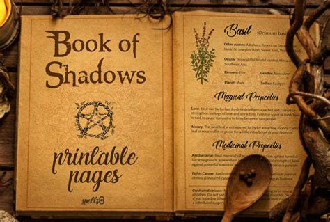 Book Of Shadows Novibet