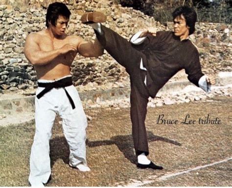 Bruce Lee Bodog
