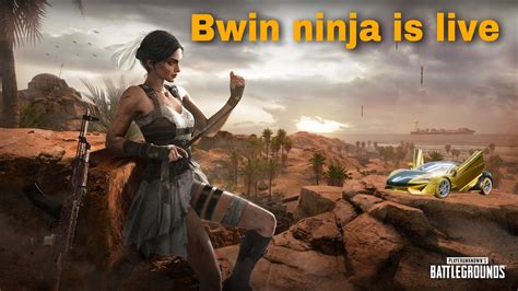 Chicken Dinner Bwin