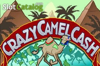 Crazy Camel Cash Review 2024