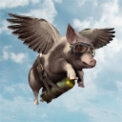 Flying Pigs Betfair