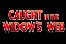 Jogue Caught In The Widow S Web Online
