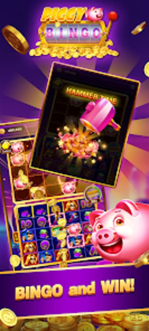 Piggybingo Casino App