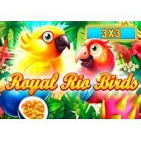 Royal Rio Birds 3x3 Bwin