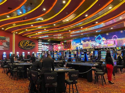 Safari Bingo Casino Venezuela
