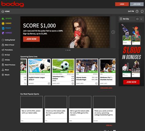 Super 15 Bodog