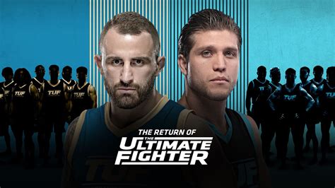 Ultimate Fighter Netbet