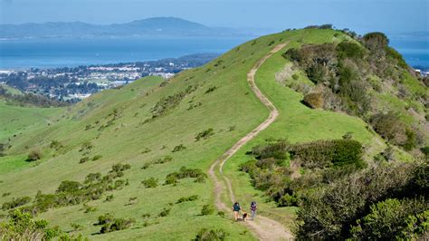 Wildcat Canyon Betsul