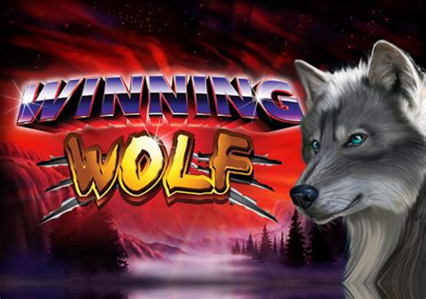 Winning Wolf Bodog